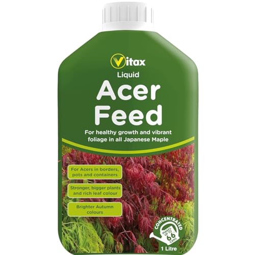 How to care for an acer How to care for an acer