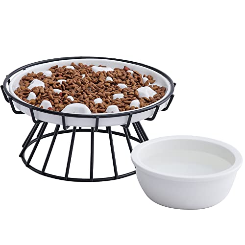 Slow Feeder Cat Bowl With Elevated Metal Stand & Water Bowl, Ceramic Fun Interactive Slow Down The Eating Speed Of Cats And Dogs, Against Bloat, Indigestion, Anti Vomiting Pet Feeding Dish, White #TOP8