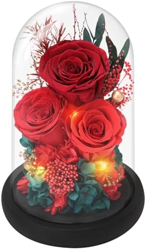 Casaido Preserved Roses Flowers for Delivery, Red Forever Flores ...