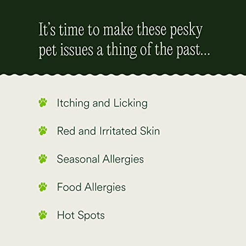 pawTree-Natural-Allergy-Support-Plus-for-Dogs-Ideal-for-Itching-Irritated-Skin-Seasonal-and-Food-Allergies-Hot-Spots-Supplement-Your-pet-Will-Love-Small-Chews-for-Pets-60-Count-Large