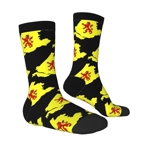 Flag Map of South Holland Socks For Men Women Outdoor Sports Running Hiking Wicking Crew Socks3