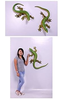 ヤモリさん sddefault.jpg