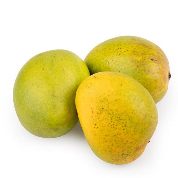 Fresh Mango Alphonso Half Ripe/Ripe India 400-500g