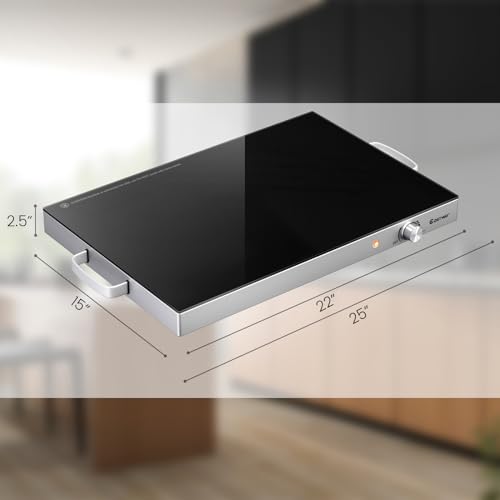 Commercial Stainless Steel Warming Tray