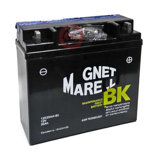 Batteria 12N20AH-BS 12V 20AH AGM 275CCA Compatibile con BMW R 850 1100 R GS R 1150 R RS RT Senza Manutenzione, Completa di Liquido per Attivazione