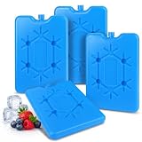 4 mattonelle refrigeranti per il pranzo, riutilizzabili, per borsa frigo