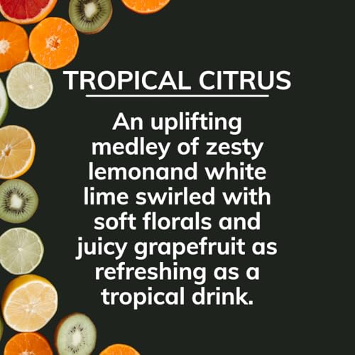 Image of Citrus Magic On The Go Odor Absorbing Solid Air Freshener, Tropical Citrus, 8-Ounce