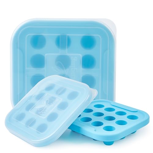 Image of WENQING Silicone Breastmilk Popsicle Molds for Toddlers Teeth Relief Fruit Feeder Freezer Mold Silicone Freezer Molds Food Freezer Tray With Lid 2 Pack