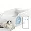 Blue Litter Box