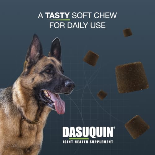 Nutramax Dasuquin MSM Joint Supplement for Large Dogs, Soft Chews, 150ct - image 5