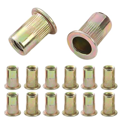 QANCEN 50 Pièces Écrous à Sertir M6, Inserts Filetés en Acier au Carbone Zincé à Tête Plate, Rivets Aveugles pour Métal Plastique