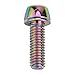 Colorful Stainless Steel M5 x 10mm for T25 for Torx Bolts for Mountain for Bike Brake, Oil Slick Finish, 12 Pack