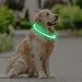 Coolzon LED Leuchthalsband Hundehalsband Aufladbar, Wasserdicht Halsband Hund 3 Modi, Leuchtband Hund Halsband Längenverstellbareres Super Helle Kalsband Katze und Hunde Klein Groß Mittel, Grün