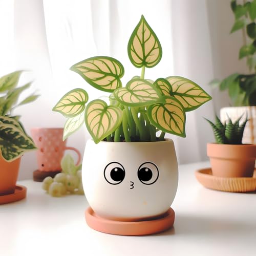 Rub On Sticker Wimpern Augen Motiv – Transfer Aufkleber personalisiert Schriftzug Deko | Rub On 3D wasserfest zum Kleben für Glas, Fotoalbum, Gips, DIY Gestaltung mit liebevollen Sprüche Sticker