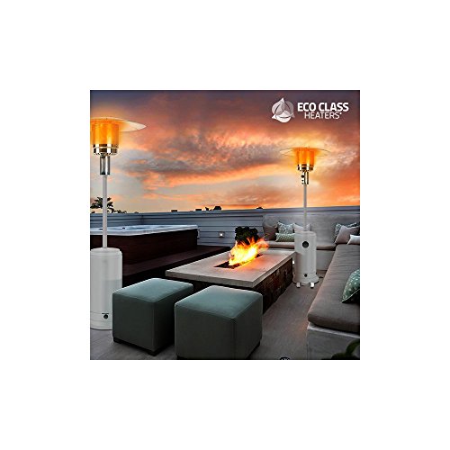 Thermic Dynamics Eco Class Heaters GH Estufa de Gas Exterior, Gris, 43x43x221 cm