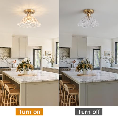 Image of Semi Flush Mount Ceiling Light, Vintage Ceiling Light 11 inch,Transparent Glass Light Fixture E26 for Kitchen Entryway Bedroom Dining Room