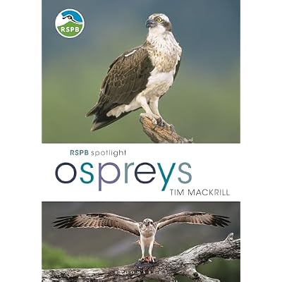 RSPB Spotlight Ospreys