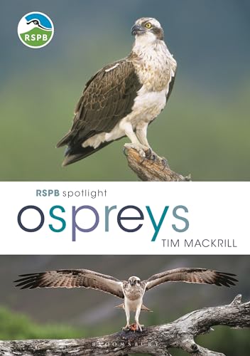 RSPB Spotlight Ospreys