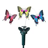 mariposa solar cancion La luz de palo decorativa con energía solar proporciona iluminación exterior.