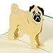 Produktbild Diese-Klappkarten Hundekarte mit Mops, Karte mit Haustier zum Geburtstag oder als Glückwunschkarte, Geburtstagskarte als Gutschein oder eine tolle Überraschung, Geschenk F17