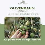 Flora Boost Olivenbaum Dünger Flora Boost 1000ml I Für bis zu 200L Gießwasser I Langzeitdünger für verbesserte Blütenbildung I Flüssiger Blatt- & Wurzeldünger I 100% natürlicher Pflanzendünger