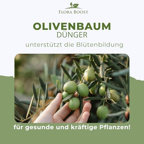 Flora Boost Olivenbaum Dünger Flora Boost 1000ml I Für bis zu 200L Gießwasser I Langzeitdünger für verbesserte Blütenbildung I Flüssiger Blatt- & Wurzeldünger I 100% natürlicher Pflanzendünger