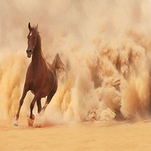 Couverture polaire grand format motif cheval à offrir aux passionnés