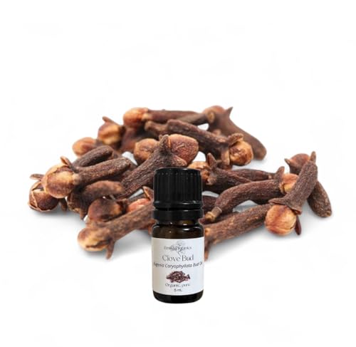 Aceite Esencial de Clavo, Orgánico, Puro, 5 mL