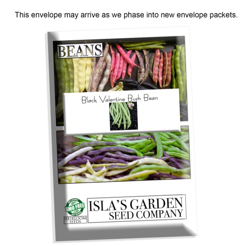 "Black Valentine" Bush Bean Seeds, 50+ Heirloom Seeds Per Packet, Non Gmo Seeds, (Isla's Garden Seeds), Botanical Name: Phaseolus Vulgaris #TOP5