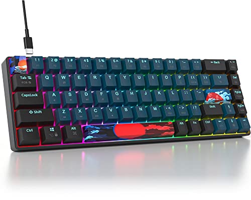 Image of 65 Percent Mechanical Gaming Keyboard 68 Keys RGB Gaming Keyboard with Red Switch Wired Keyboard for Windows PS4 /5 Xbox Gamers(68 Monster)