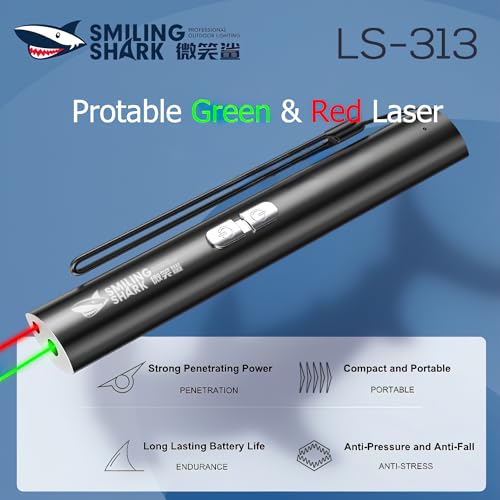 Image of 2 in 1 Laser Light Powerful Presentation Pointer - High Power Green and Red Dual Beam, USB C Rechargeable, 1000M Range, Super Bright Mini Pen for Presentations & Cat Play