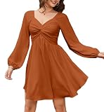 Florboom Women's Long Sleeve Sweetheart Neckline Mini Dress Smocked Chiffon Sexy Fall Flowy Dresses (Rust Brown, L)