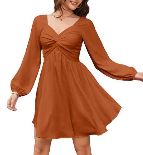 Florboom Women's Long Sleeve Sweetheart Neckline Mini Dress Smocked Chiffon