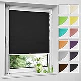 Premium Plissee ohne Bohren Plisee klemmfix (Schwarz, 65 x 120 cm) Plisseerollo Jalousien Rollos für Fenster, easyfix & verspannt, Sichtschutz & Sonnenschutz