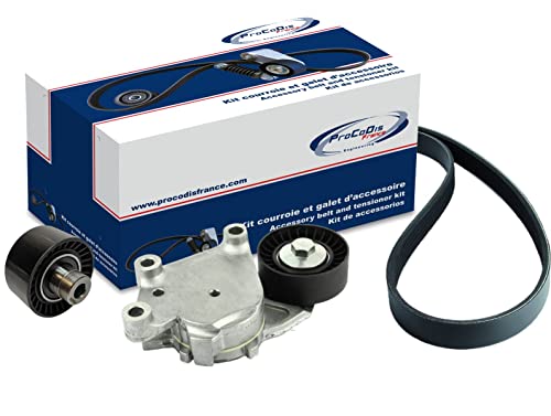 Kit de correa y rodillo KGA2021 tensor auxiliar alternador PROCODIS France
