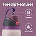 Owala FreeSip Insulated Stainless Steel Water Bottle with Straw for Sports, Travel, and School BPA-Free Sports Water Bottle, 32 oz, Dreamy Field