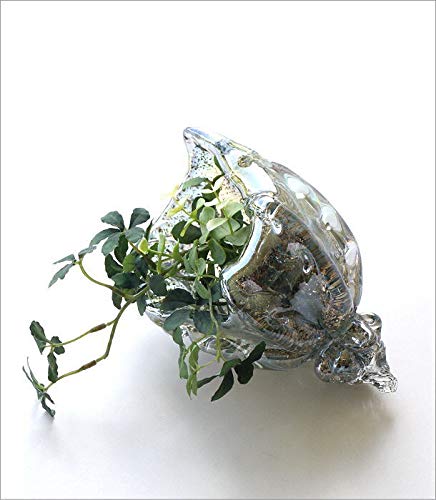 Amazon.co.jp: 置物 オブジェ ガラス シェル 貝殻 海 マリン 雑貨