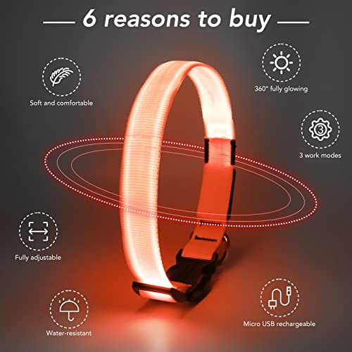 KOSKILL Leuchthalsband Hund Wiederaufladbare USB LED Hundehalsband Wasserdichtes Leuchtendes Hunde Halsband Einstellbare Super Helle für Mittlere Große Hunde (Orange, M)
