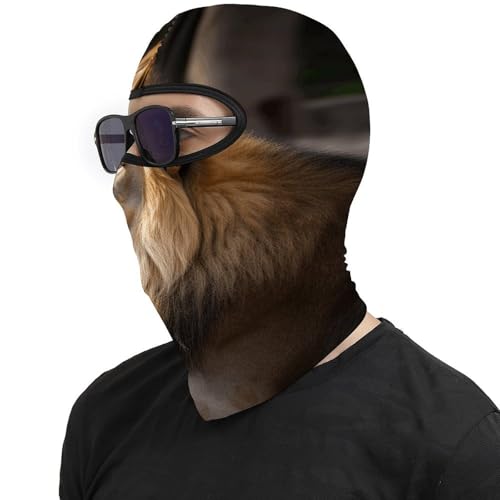 Máscara de esquí Two Lions para hombre, balaclava facial completa, transpirable, suave, resistente al viento, para bicicleta, conducción y montañismo miniatura 4
