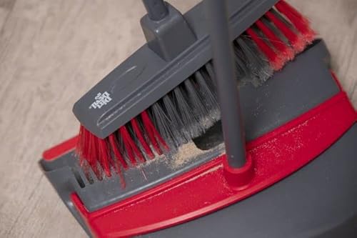 Dirt Devil Kehrgarnitur mit Langem Stiel - Kehrschaufel & Kannen-Set – Reinigungszahne – Soft Grip – Grau/Rot
