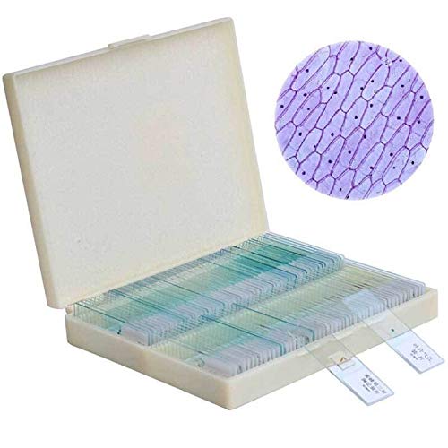 100PCS Professionale Slice Vetro Vetrini for microscopio educativo Esemplare Umano Tessuto sezioni con Scatola di plastica