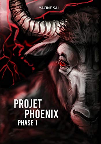 Télécharger Projet Phoenix: Phase 1 PDF Ebook En Ligne