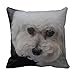 Sweet Bichon Frise Throw Pillow Cover Home Cushion Case Decorative Animal Pattern for Sofa 18 X 18 Inch Two Sides