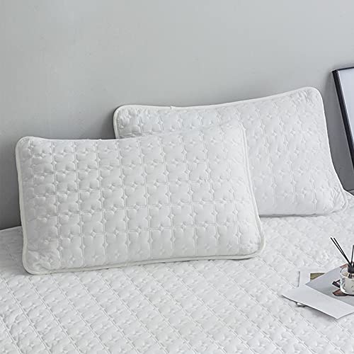 YUDEYU Jo[   LeBO X^C A 1yAi2j (F : AO01, TCY : 48x74cm)