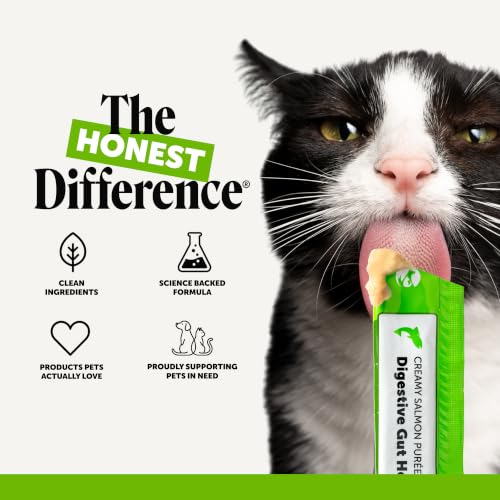 Image of Cat Probiotic Lickable Treats for Digestive Health - Squeezable Puree Pouches for Cats - Feline Constipation + Promotes Stool Regularity, Prebiotics Fiber Gut Flora Sensitive Stomach (Salmon, 20 Ct)