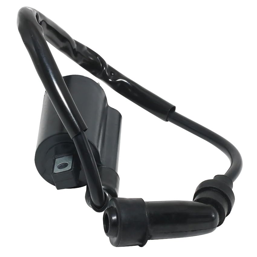 Amazon.co.jp: イグニッションコイル 用XV125 XV125S XV240 XV250 