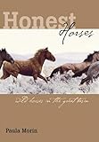 Honest Horses: Wild Horses In The Great Basin