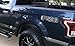 Decal Mods FX4 Off Road Decals Truck Stickers for Ford F150 (2015-2020) Gray - FPPG (Set of 2) | FH5A1