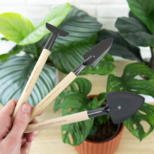 Kit Miniatura Cuidado de Plantas Gift Republic miniatura 6