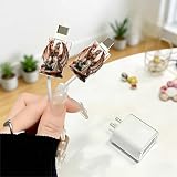 2pcs Acrylic Dragon Queen Cable Protector, Type-C Compatible, Anti-Break Data Cable Cover, Beautiful and Durable Charging Cable Protective Case, Perfectly Ideal